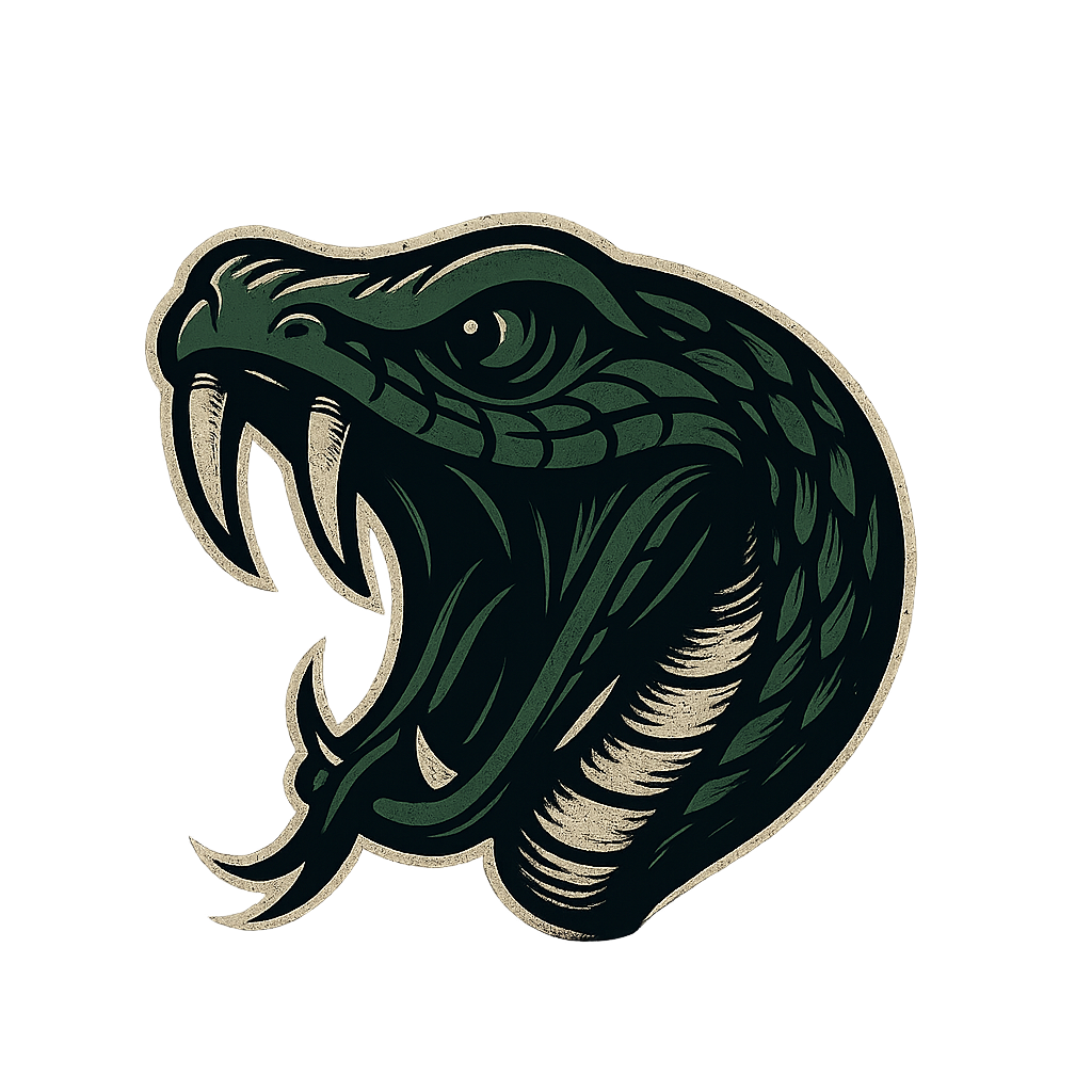 Viper Media